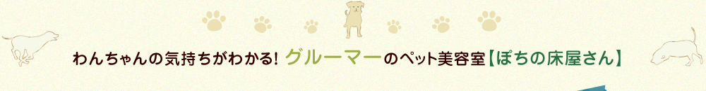 米子市でのトリミング・ペット美容室｜わんちゃんの気持ちがわかる！グルーマーのペット美容院【ぽちの床屋さん】
