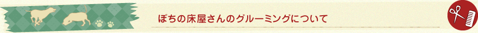 米子市でのトリミング・ペット美容室｜ぽちの床屋さん、ぽちのグルーミングについて