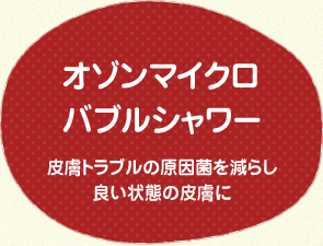 フルーツせっけんシャンプーは科学物質のないシャンプーでしっかりヨゴレを落とします。