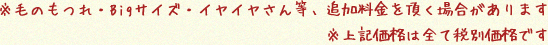 ※毛のもつれ・Bigサイズ・イアイヤさん等、追加料金を頂く場合があります。