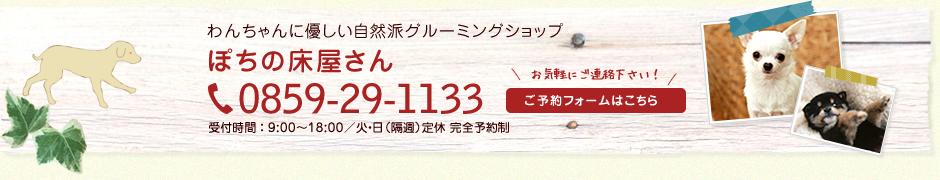 米子市でのトリミング・ペット美容室｜ぽちの床屋さんでわんちゃんを綺麗に可愛くしませんか？電話番号0859-29-1133、受付時間は9～18時／火・日（隔週）定休。お気軽にご連絡下さい。ご予約フォームはこちらへ。