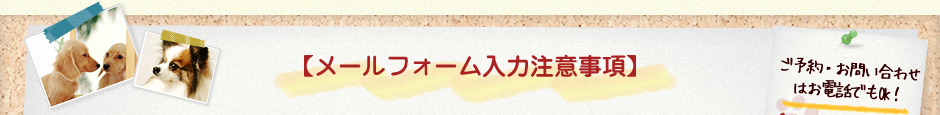 【メールフォーム入力注意事項】ご予約・お問合せは電話でもOK！TEL0859-29-1133